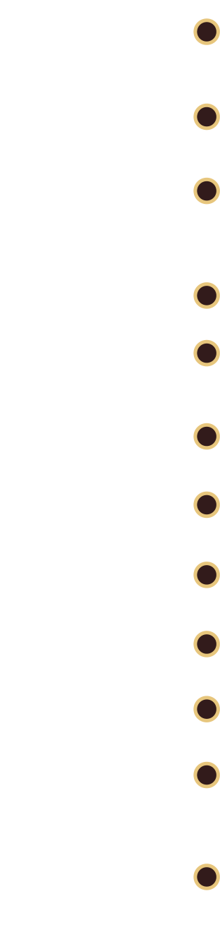 1973 Geschäftsgründung in Beratzhausen durch  Willibald Frank 1978 Umzug nach Seubersdorf & Eröffnung eines Büros mit Laden 1986 Erweiterung des Lagers  Ausbildungsbeginn zum Parkettleger von Gunther Frank (Geschäftsführer) 1991 Bau einer Lagerhalle in Pirkach 1992 Umwandlung der Einzelfirma in eine GmbH 1995 & 1996 Abriss des alten Ladens und Neubau 1997 Bau einer Lagerhalle am Weichenturm in Seubersdorf  2007 Bau einer weiteren Halle am Weichenturm 2009 Anbau einer „Fabrik“ zur Produktion von Stufenmatten 2011 Firmengründer & Geschäftsführer Willibald Frank verstab 2019 Alexander Frank ist nach bestandener Ausbildung zum Parkettleger in den Betrieb mit eingestiegen 2021 & 2022 Neubau der Geschäfts- & Ausstellungsräume in der Regensburger Str. in Seubersdorf Eröffnung am 01.07.2022